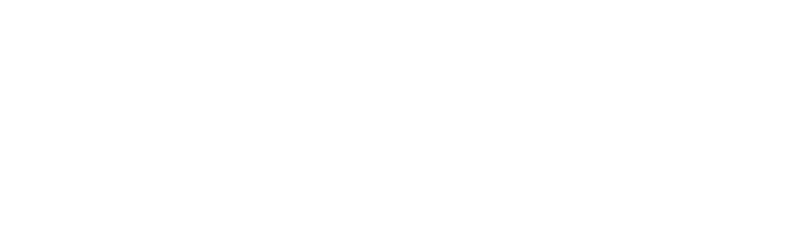 LA NUEVA GENERACIÓN