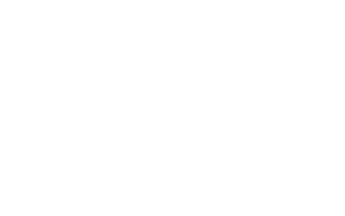 Merino