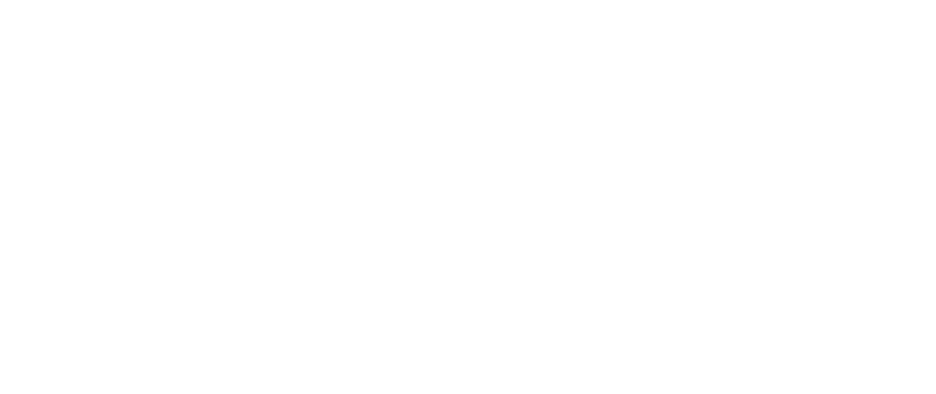 Innpala Nuevos tiempos para la pala