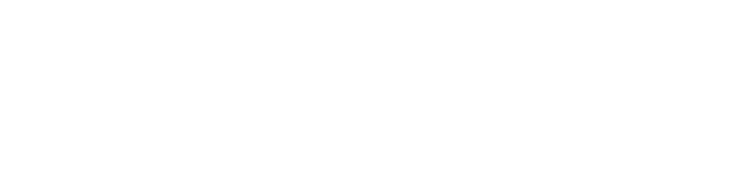 puntistas alaveses