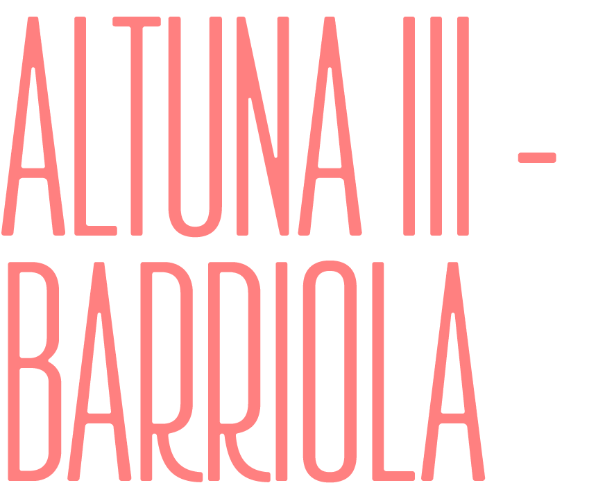 Altuna III - Barriola