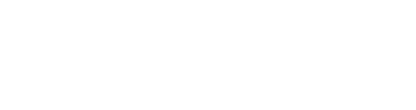 Rub n Ayarra LA Exigencia de la pelota profesional